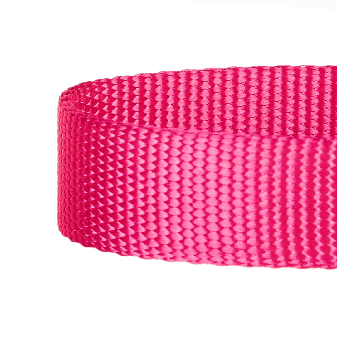 5 Colors, Classic Martingale Dog Collar