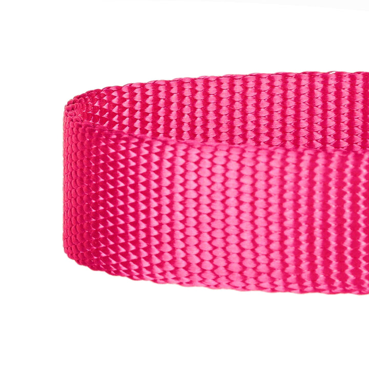 5 Colors, Classic Martingale Dog Collar