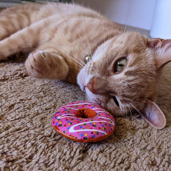 Catnip Donut for Cats