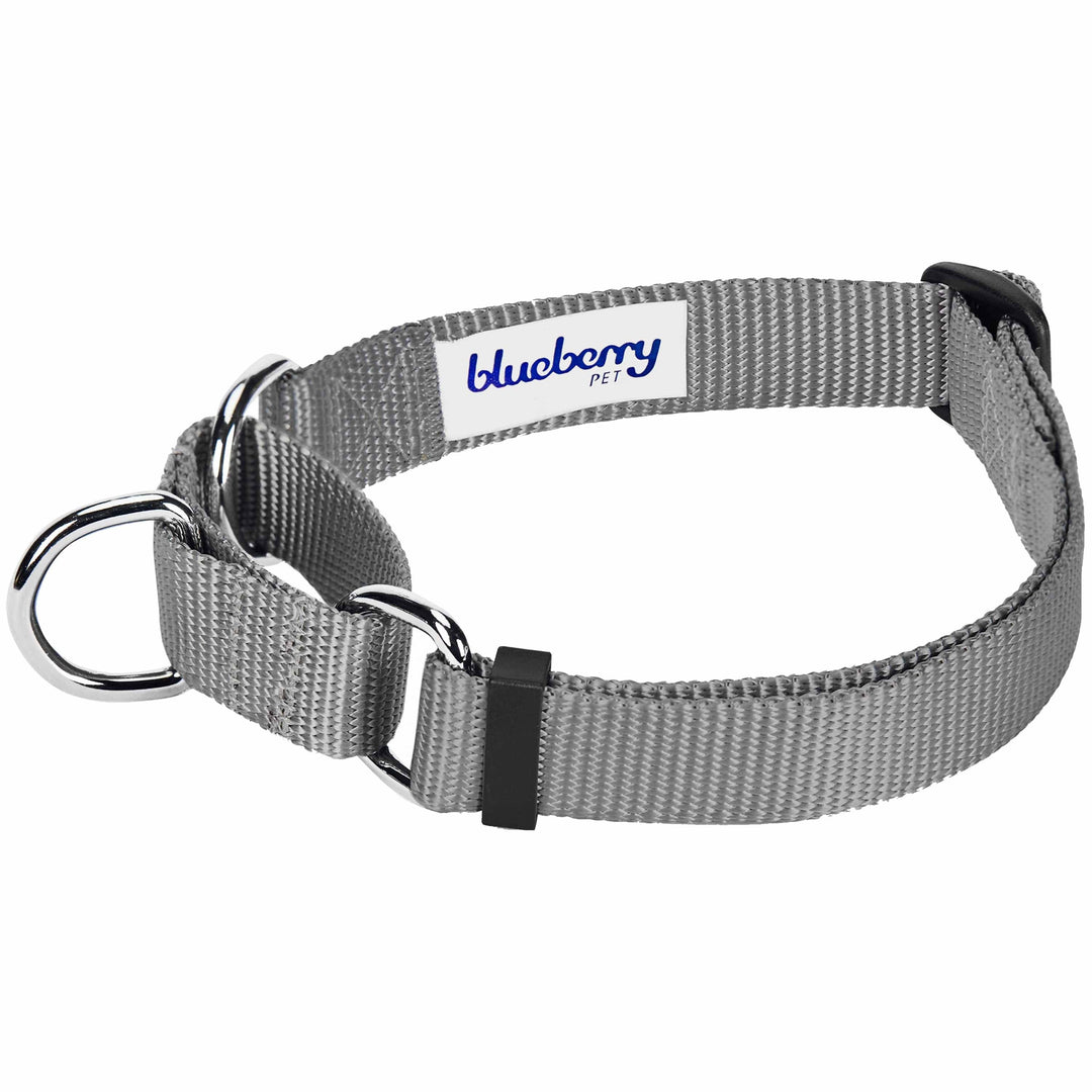 5 Colors, Classic Martingale Dog Collar
