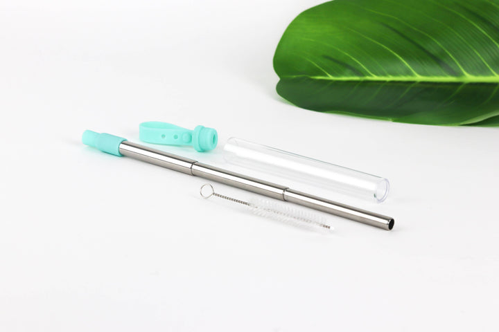 Krumbs Kitchen Expandable Steel Straw