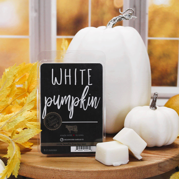 5.5 oz Wax Melts Fall: White Pumpkin