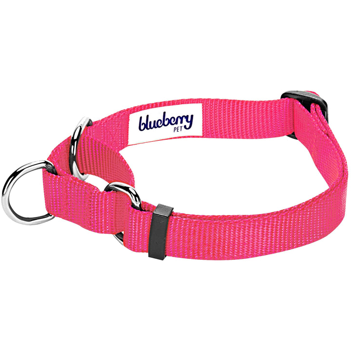 5 Colors, Classic Martingale Dog Collar