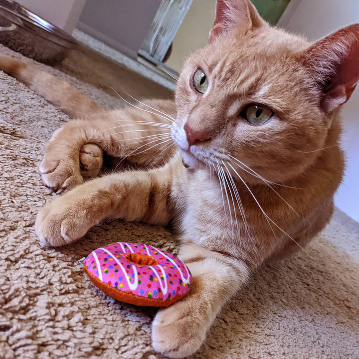 Catnip Donut for Cats