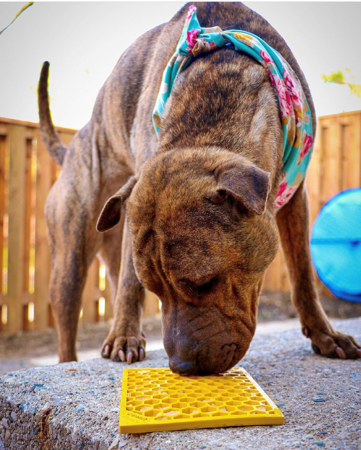 Honeycomb Design Emat Enrichment Licking Mat - Yellow