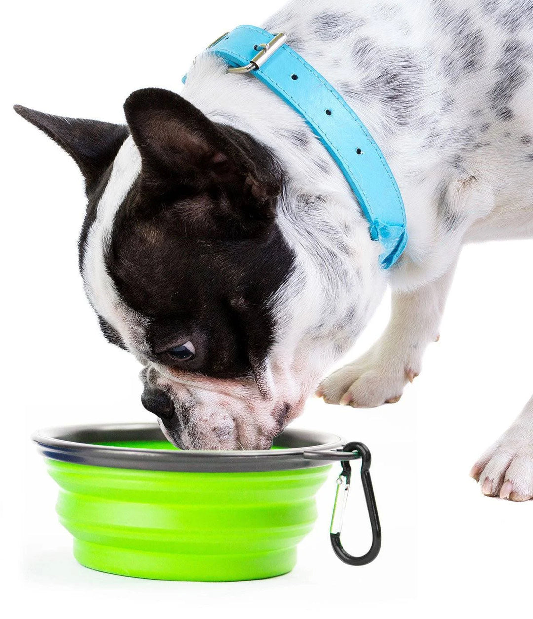 Collapsible Doggie Dish