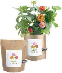 Garden In a Bag Kit