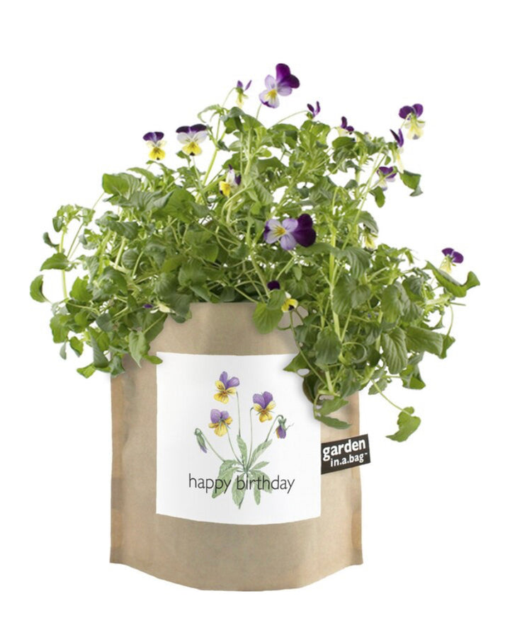 Garden In a Bag Kit