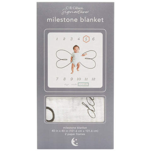 Hello Baby Milestone Blanket/Prop