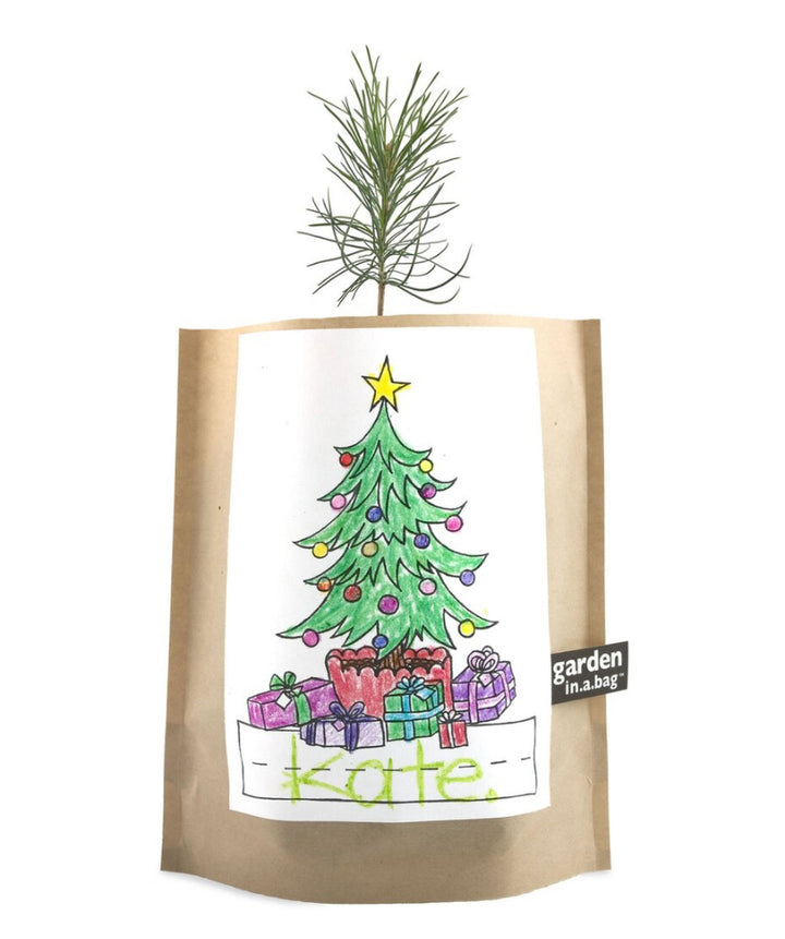 Garden In a Bag Kit
