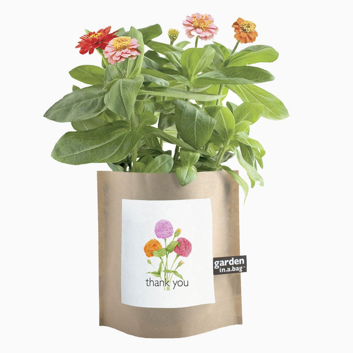 Garden In a Bag Kit