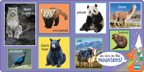 I'm Learning My First 101 Animals! Board Book